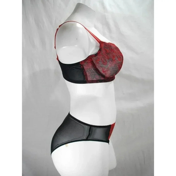 SMALL Paramour 675009 by Felina Ellie Hi Cut Bikini Panty Red Japanese Blossom - Picture 6 of 11